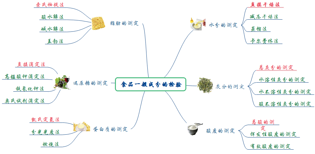 食物营养分类思维导图图片