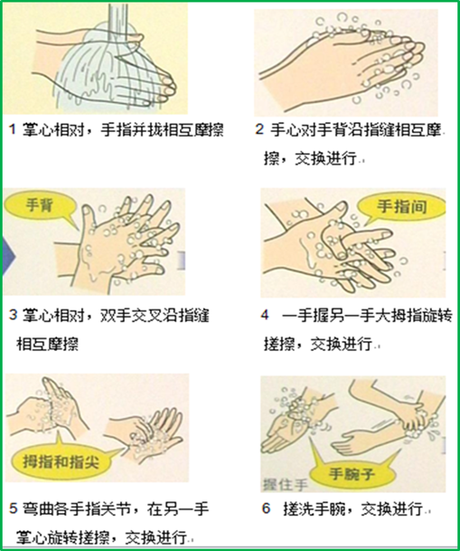 洗手方法示意图.png