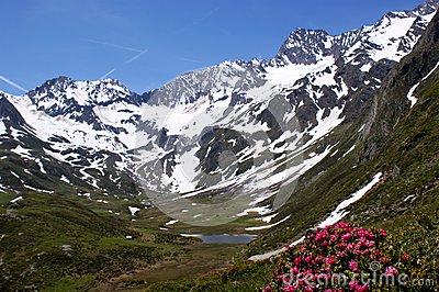山南四季如春，山北积雪覆盖.jpg